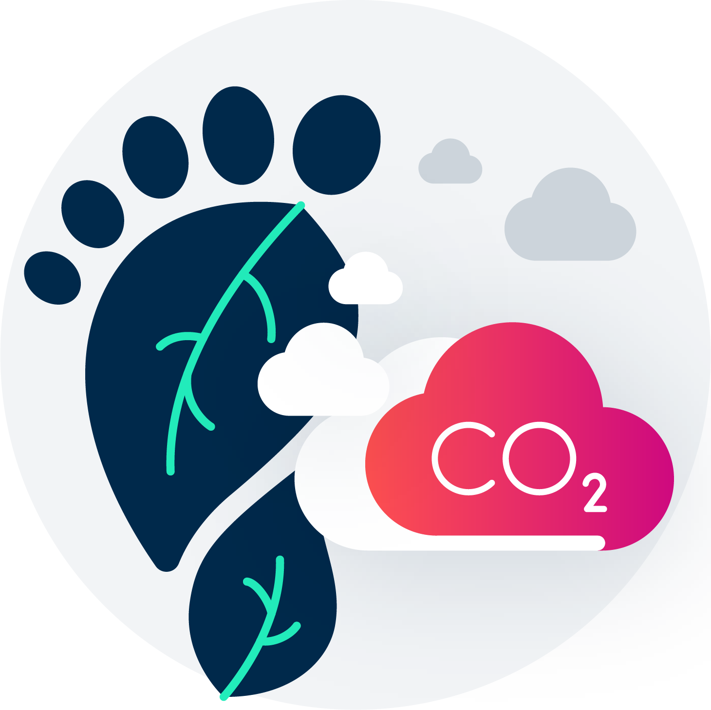 Carbon Footprint Manager Illustration