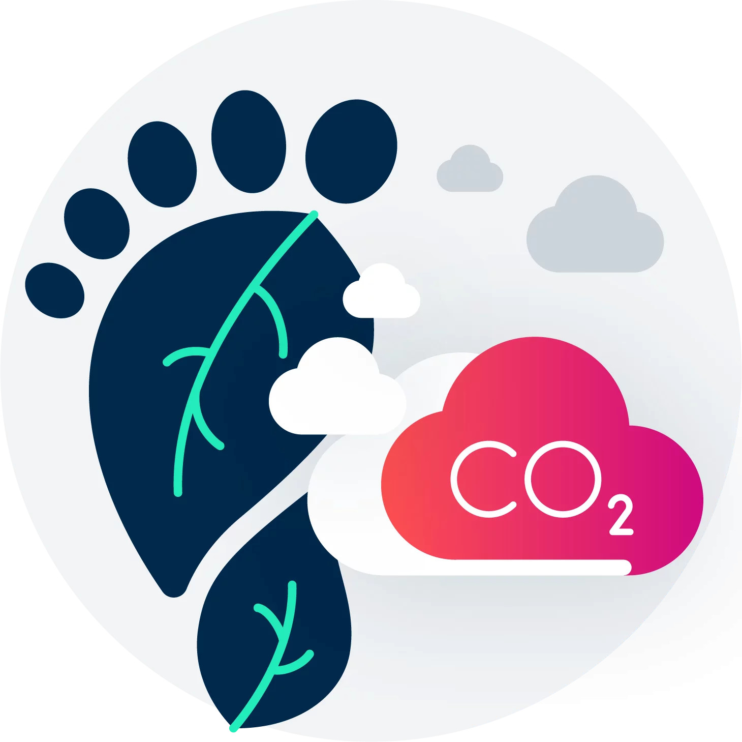 Carbon Footprint Manager Illustration